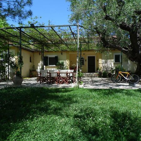 Theni Olive Grove Villa Káto Jerakári Kültér fotó