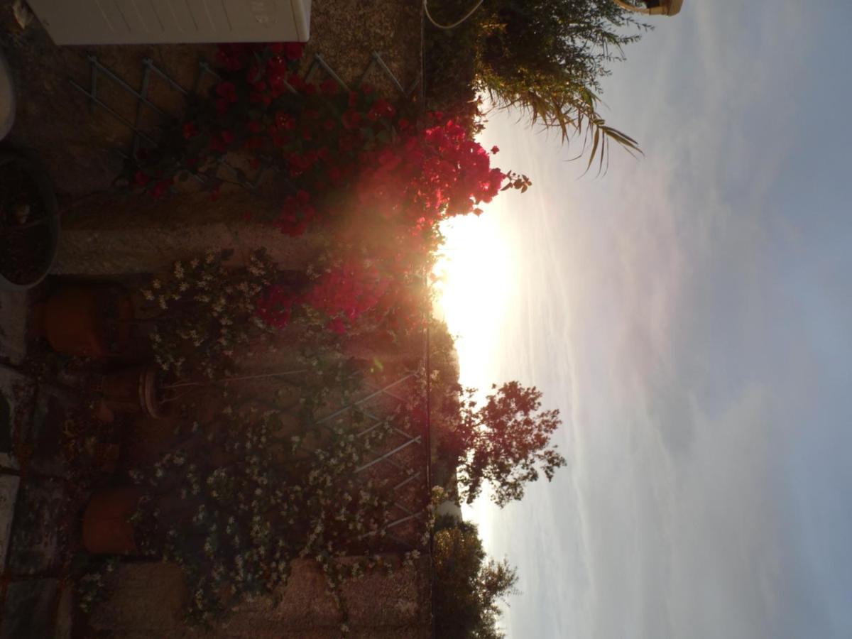 Theni Olive Grove Villa Káto Jerakári Kültér fotó