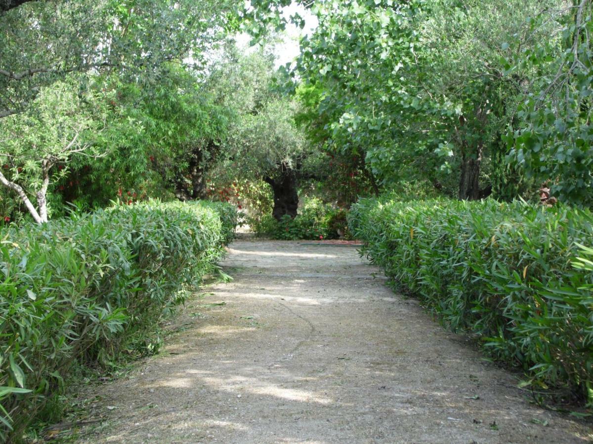 Theni Olive Grove Villa Káto Jerakári Kültér fotó