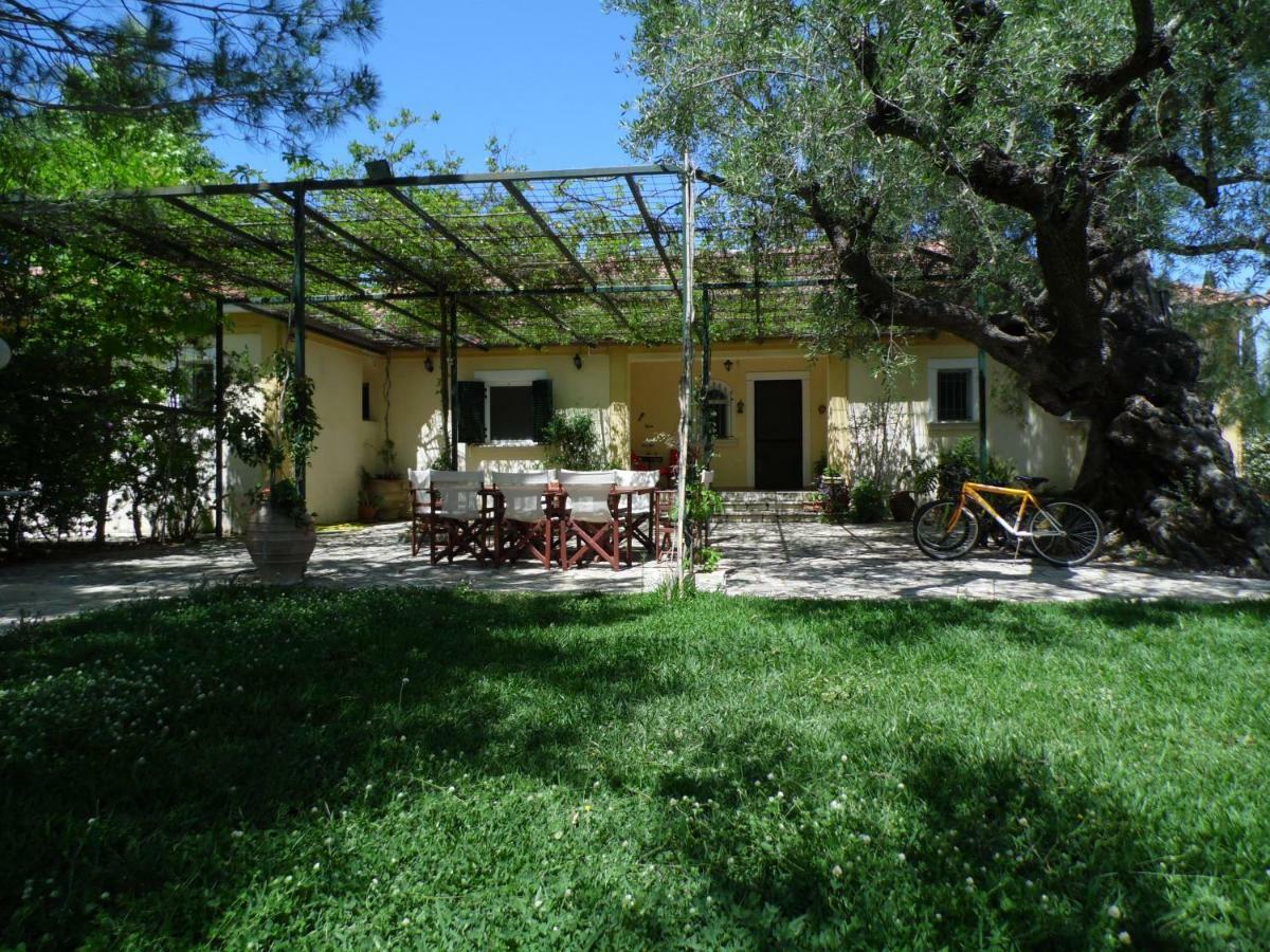 Theni Olive Grove Villa Káto Jerakári Kültér fotó