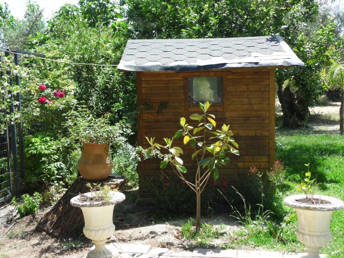 Theni Olive Grove Villa Káto Jerakári Kültér fotó
